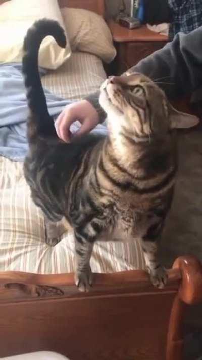 Again Again 🥳💕