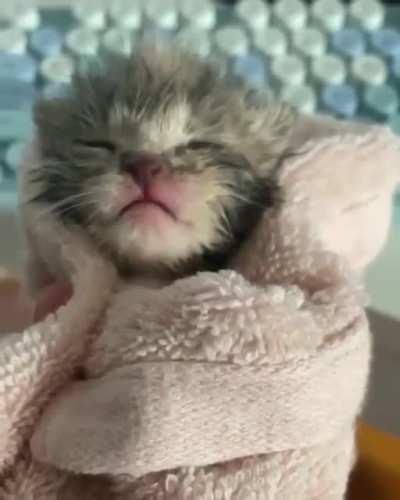 Yells bigger than herself