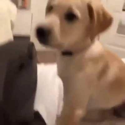 pkk kampinda internet nasil cekio