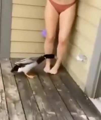 She should’ve ducked