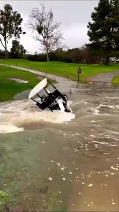Idiot in a Golf Cart