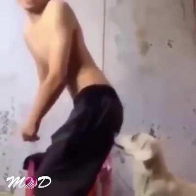 let me shake it infront of this dog
