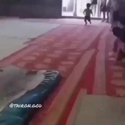 Con los terroristas 🤑