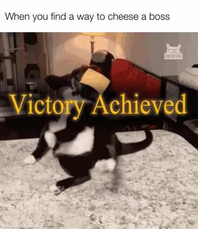 Raid bosses in a nutshell