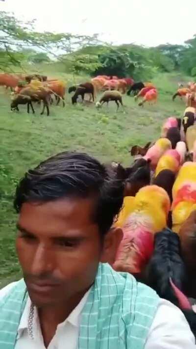 Bit old... Lekin bhai ka lip sync is absolutely spot on 😁