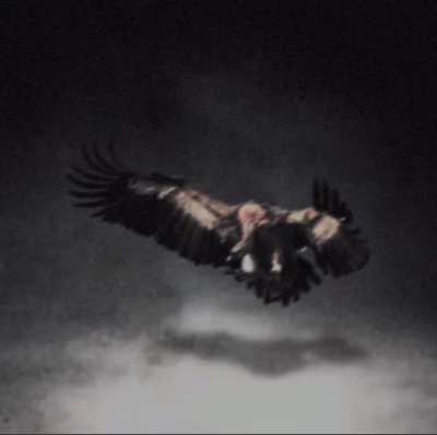 LOVE ME THE MOST (CDQ)