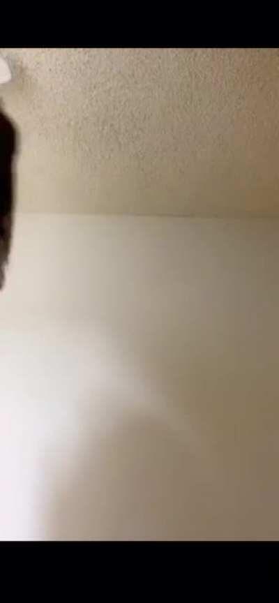 500 viewers for This lmfaoooooo