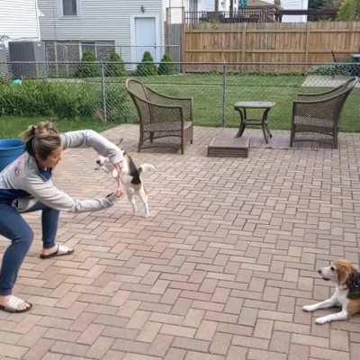 Didn’t quite make this jump 🤣