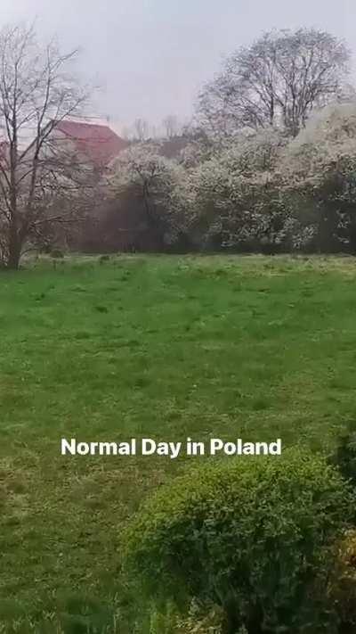 just another normal day in Poland