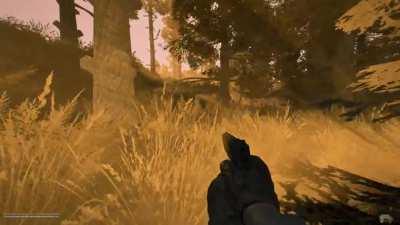 My lovely time in red forest summed up in 15 seconds (use headphones,trust me).