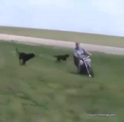 This new season be like