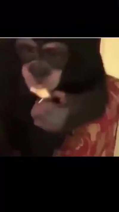 Weed subreddit doesn’t allow me to post vids