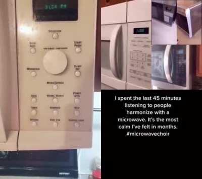 Harmonizing with microwaves [music]