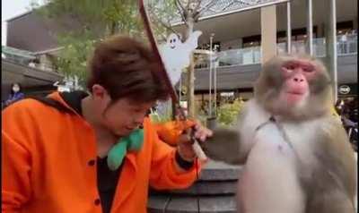 Leaked footage of Connor in the Kendo Special