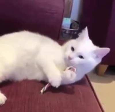 Accidentaly tasting peppermint