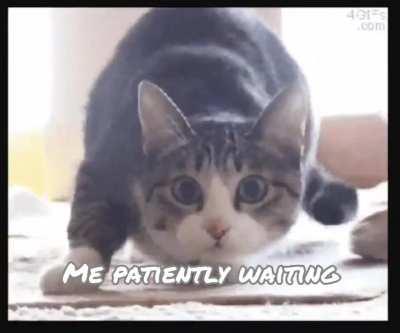 August will be the best month of 2020 (2 more days)