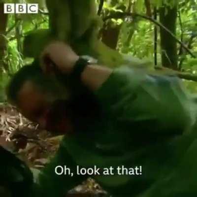 That’s one happy parrot