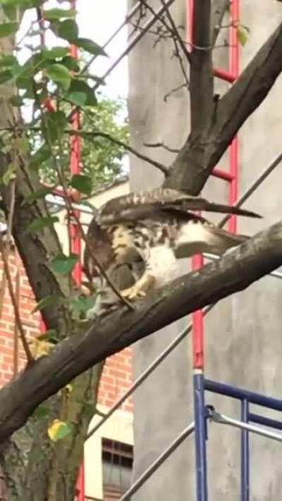 Outdoor Dining in EV.