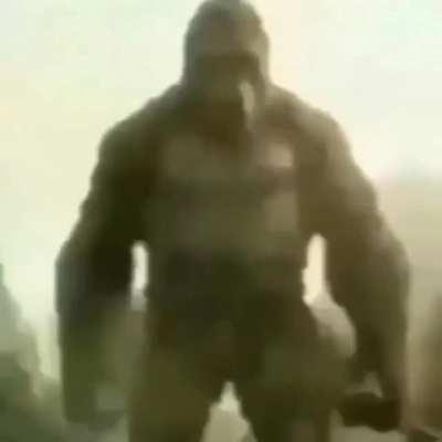 Monky