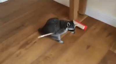 Who needs to hire a cleaning service when you have this guy