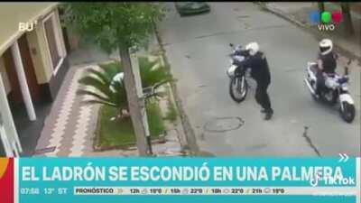 Ladron se intenta esconder, sale mal