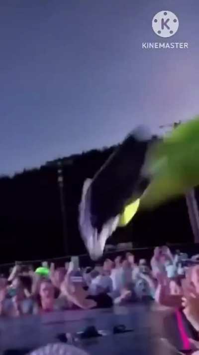 your gassy incredible poo is: damn flying