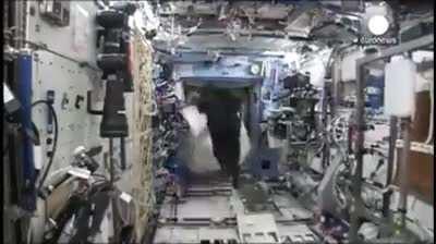 Astronaut Mark Kelly once smuggled a full gorilla suit on board the International Space Station. He didn't tell anyone about it. One day, without anyone knowing, he put it on.