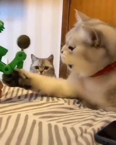 You embarrassed us bro, not gonna lie.