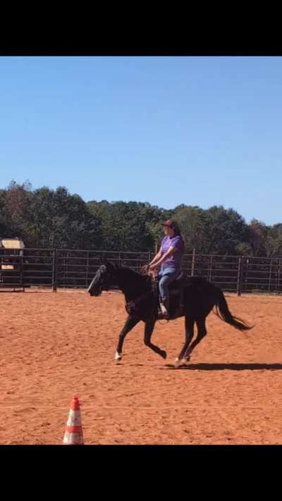 Old girl remembers some tricks