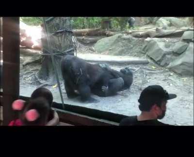 They just wanted to be on hol up