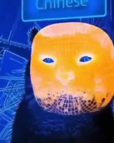 song is “them changes” by thundercat for anyone wondering