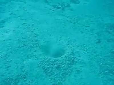 Фокус с исчезновением