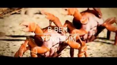 ‏‏‏‏‏‏‏‏