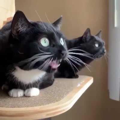 This transmission is coming to you...