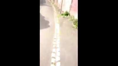 Too much British for me to handle.