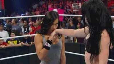 AJ Lee kissing Paige's hand