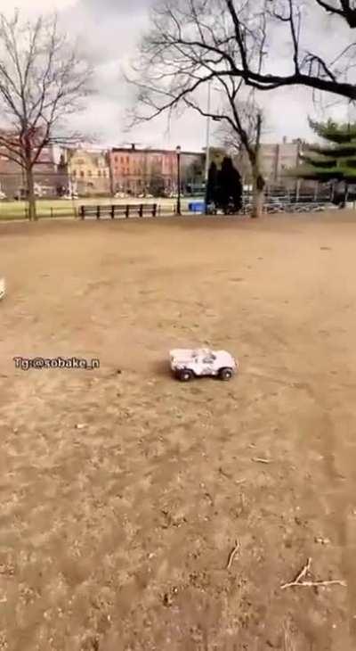 How to tie a corgi out