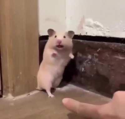 His soul came out of his body