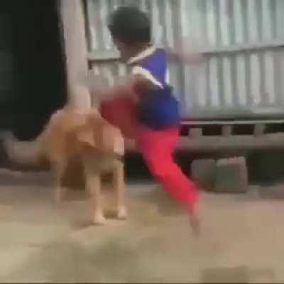 yaaaaaaaaaaaaaaaaaaaaaaaaaaaa