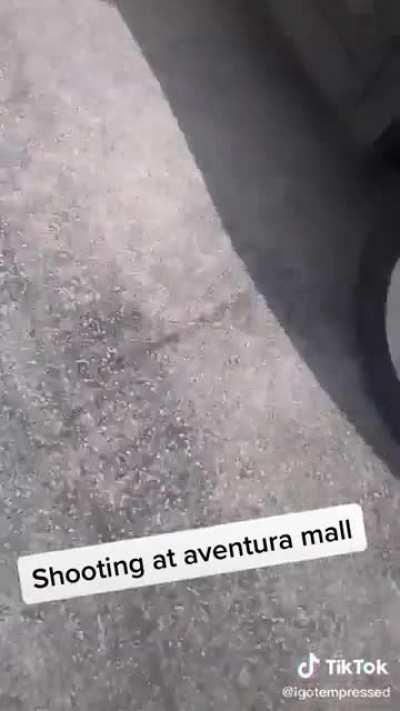 Shoppers run for cover as shots ring out at Aventura Mall