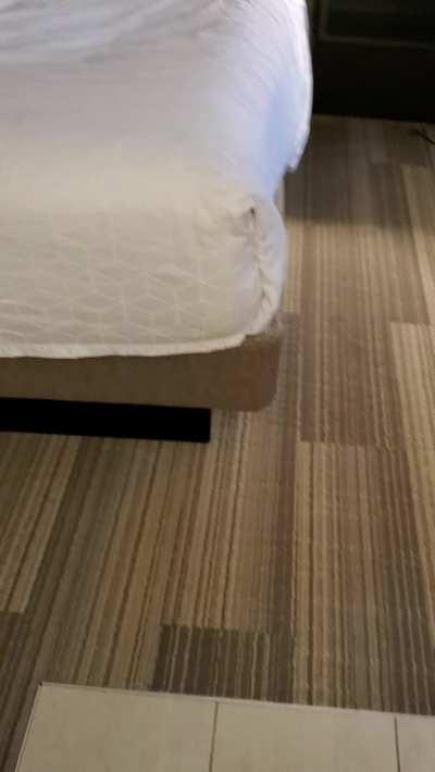 Real behind the scenes