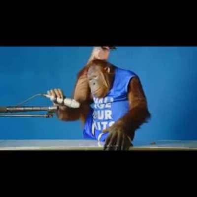 Asmr de mamaco (Desculpa pela qualidade, eu não encontrei melhor)