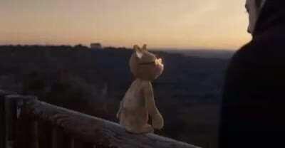 Mi año resumido en 19 segundos 😛🤙🏼