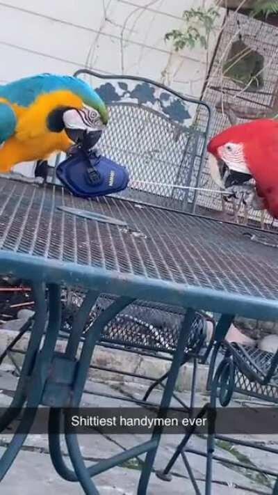 Never hiring these two again.