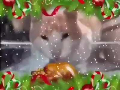 Feliz navidad hijos de la ñonga, y que chingue su madre ese pendejo llamado Mauu