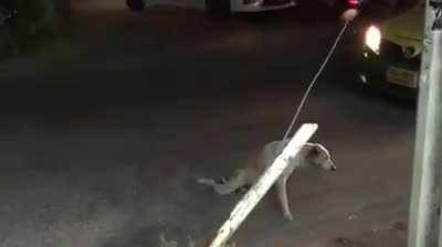 And the oscar goes to ...