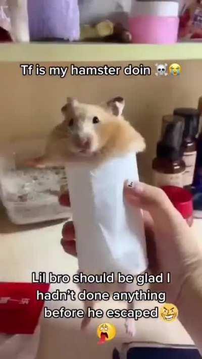 boutta have the experience of a lifetime 😈