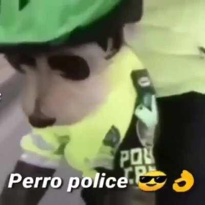 Perro Police 😎