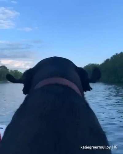 Laughed way more than I should have 😂😂😂