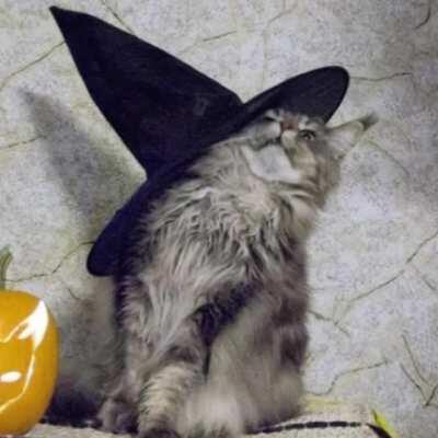 my friend here justin 😫